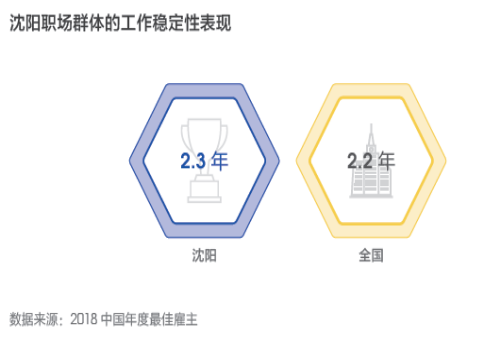 职业稳定性，职场发展的坚实基石之经典解读（户外版4.528）