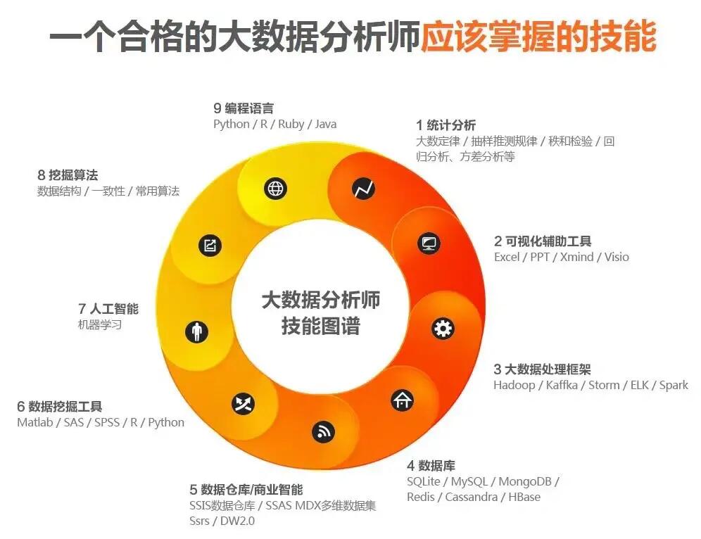 数据分析师核心技能解析，引领数据驱动决策时代的户外版实践指南 4.528