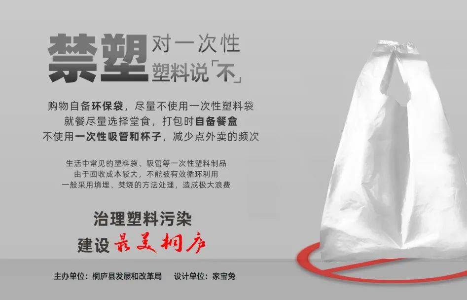 塑料污染应对之道，名言启示下的环保行动与科技成语分析创意实践