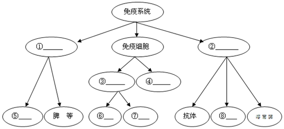 2024年11月9日 第9页