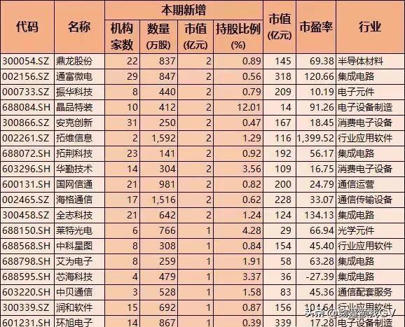 科技巨头引领未来浪潮，科技股龙头排名前十代码详解与成语分析界面版报告