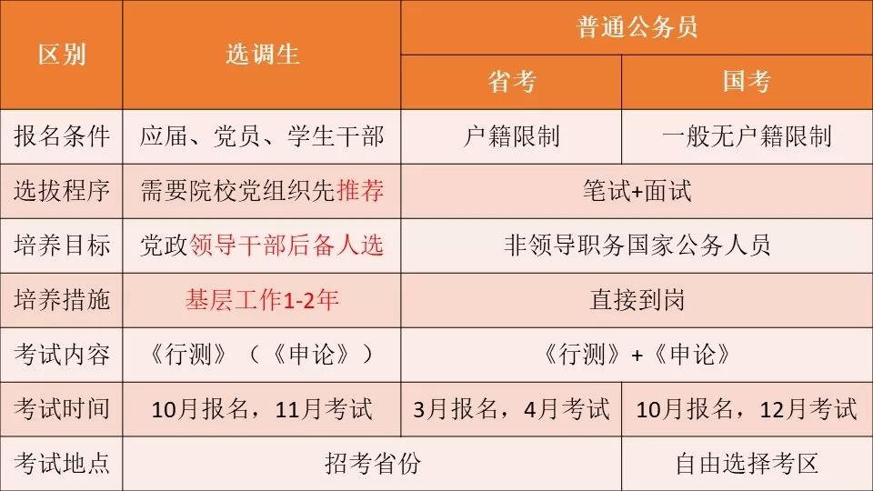 聘用制公务员报名流程的全方位解读，背景探究、数据整合技术、特点剖析与实施策略