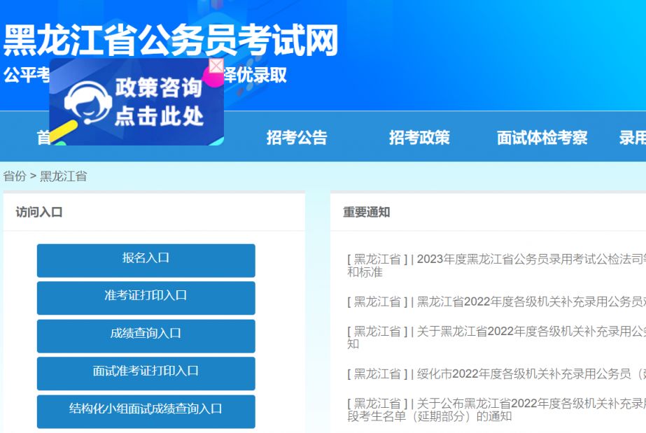 黑龙江省公务员考试网分析与数字化转型策略深度探讨