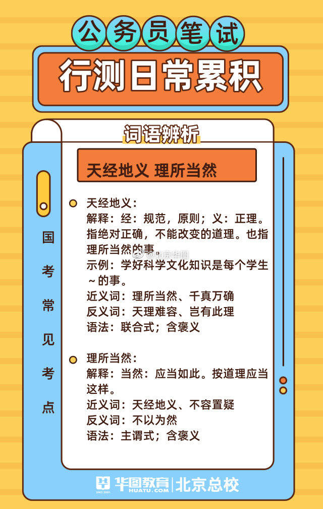 公务员高频词汇积累与数字化转型分析，数据整合的关键角色与策略