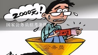 国家公务员考试报考条件解析，数字化转型中的数据整合与技术推动力