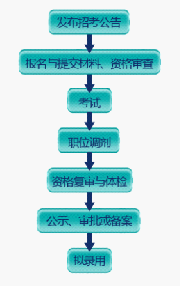 公务员资格审查步骤详解