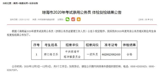 聂正公务员考试成绩公示数据分析详解，成绩分布、趋势与策略探讨