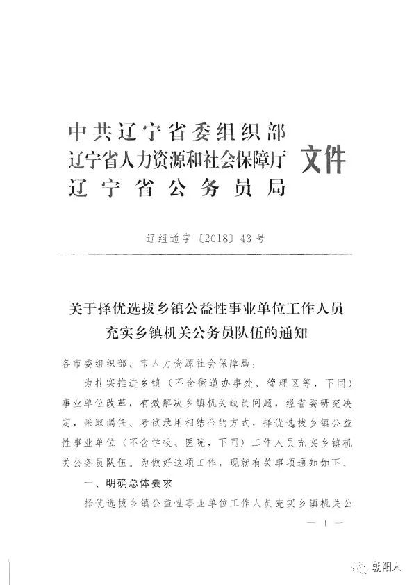 义县遴选通知深度解析文章