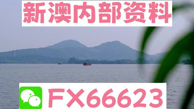 关于新澳2024正版资料的免费公开与数字化转型的深度解析（违法犯罪警示）