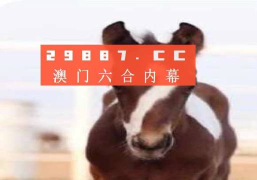 澳门一肖一码精准分析与数字化转型背后的风险警告