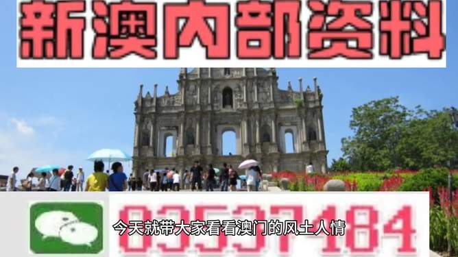 新澳2024年数字化转型深度解析，精准数据资料大全与策略挑战