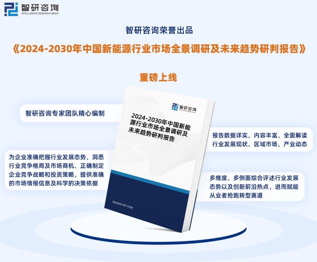 新奥免费资料分析，数据整合与数字化转型的力量 2024新奥资料全面解析